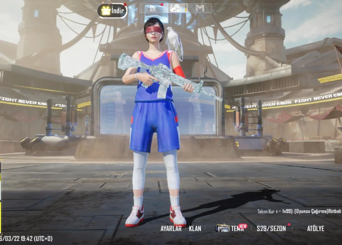 Basket seti PUBG